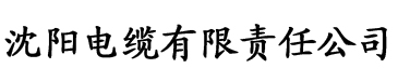 亚洲精品无码不卡久久久久电缆厂logo